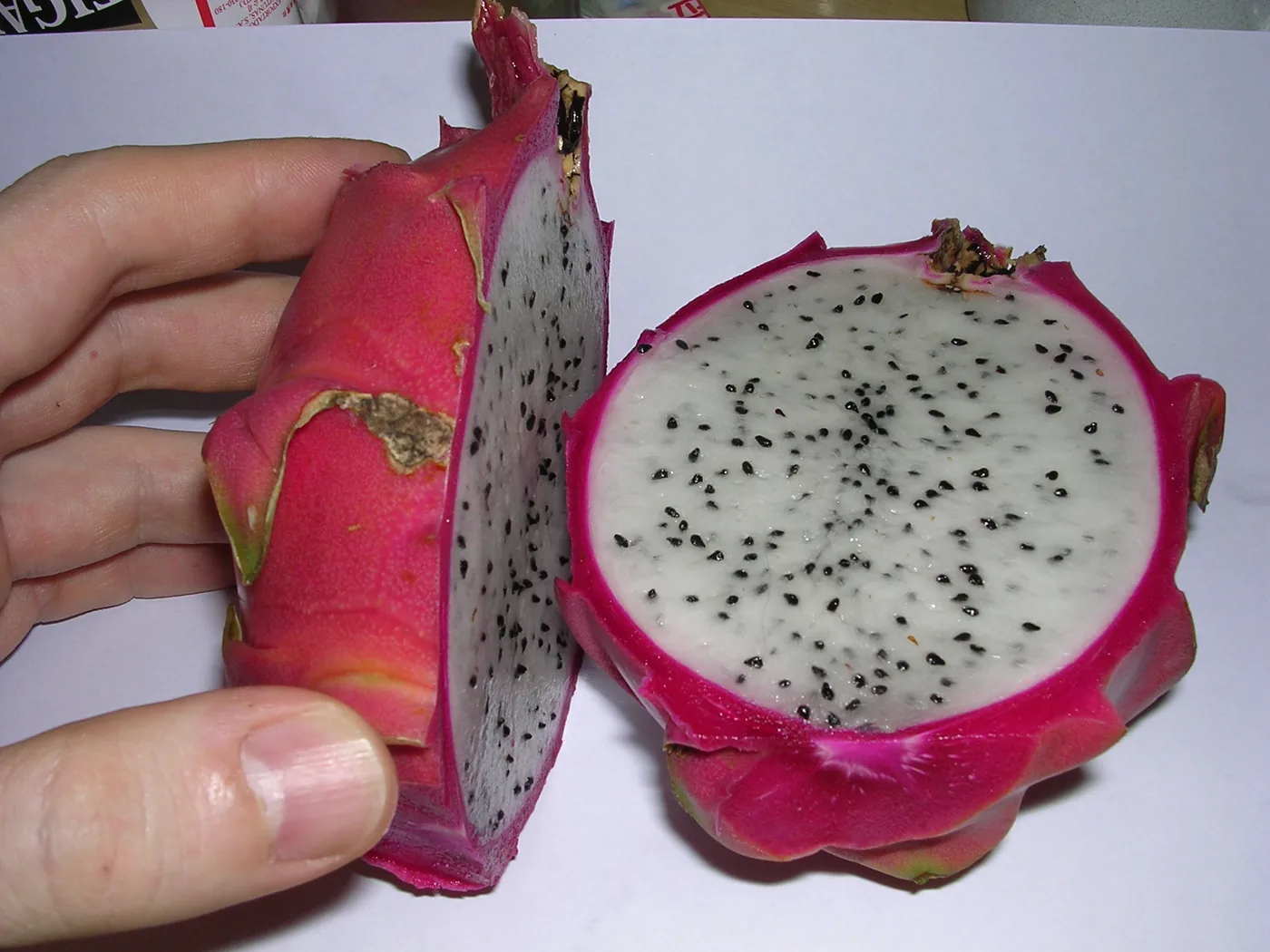 A hand holding a halved dragon fruit with white flesh and black seeds