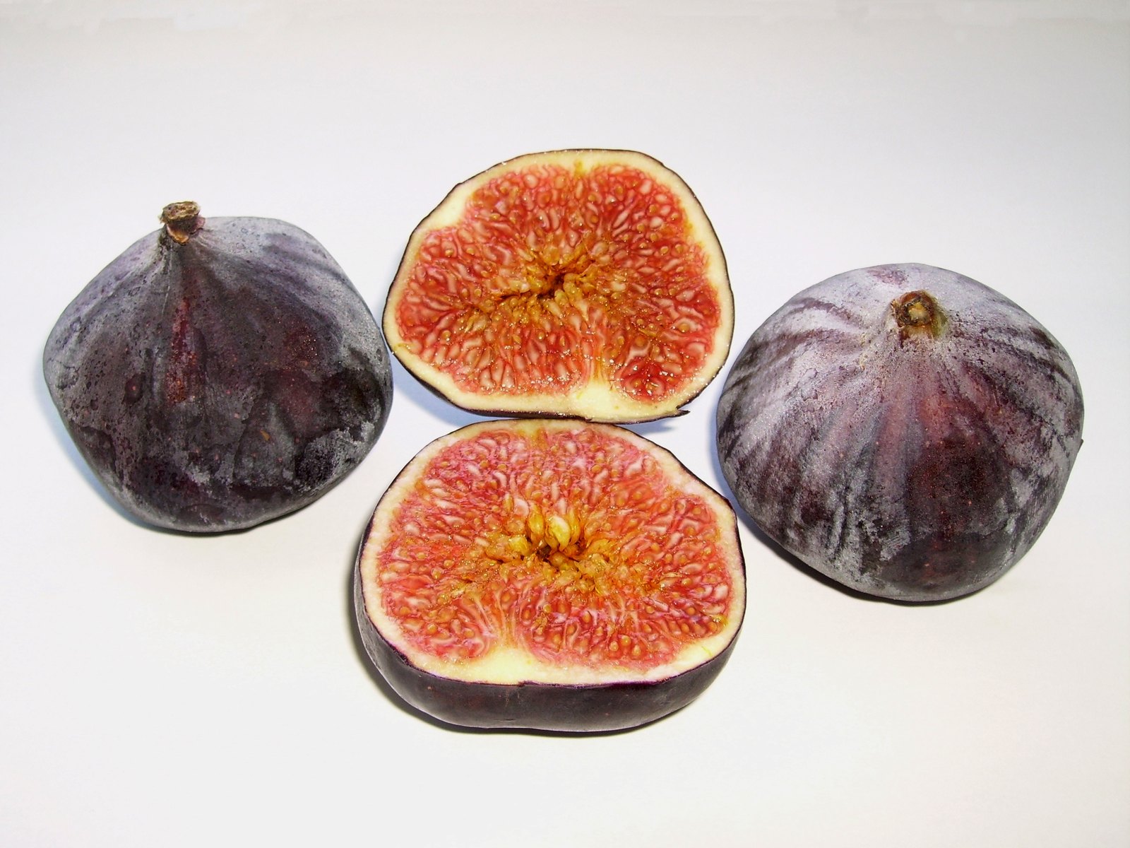 Fig (Ficus carica) Extraction Guide: Ultrasonic Soaks, Juice, Leaf Decoction and Sap