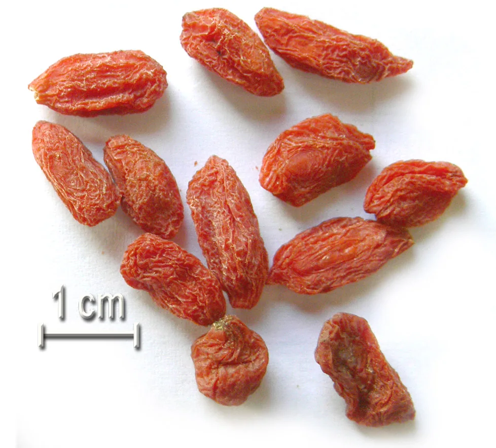 Dried goji berries laid out on white paper beside a one centimeter scale bar
