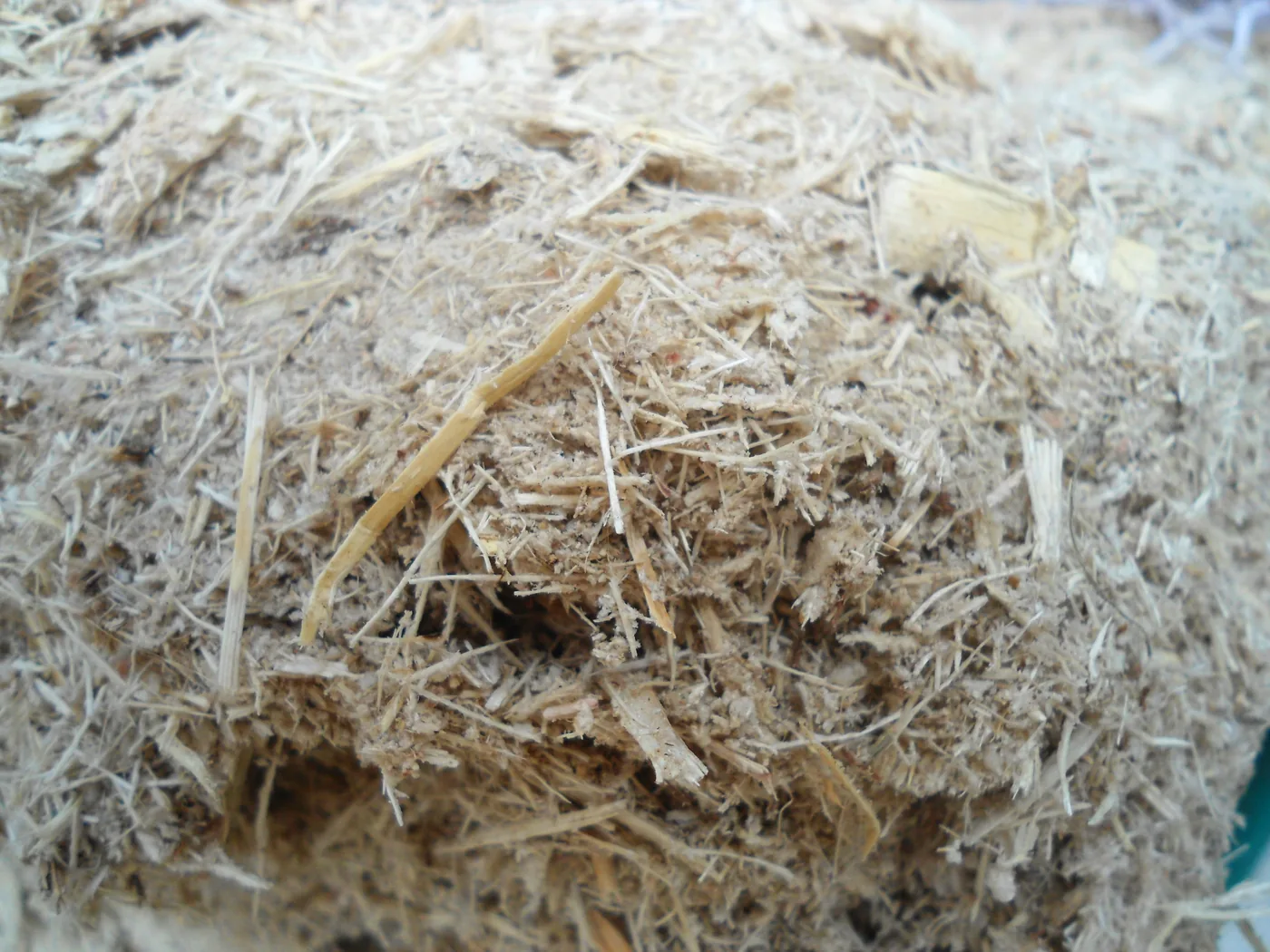 A close view of pale, shredded cane fibre in a heap
