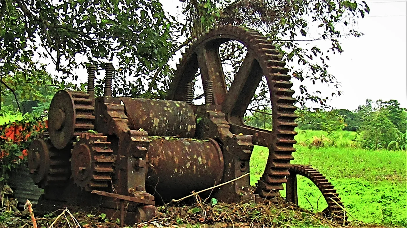 A rusted iron cane mill with large toothed gears standing among trees