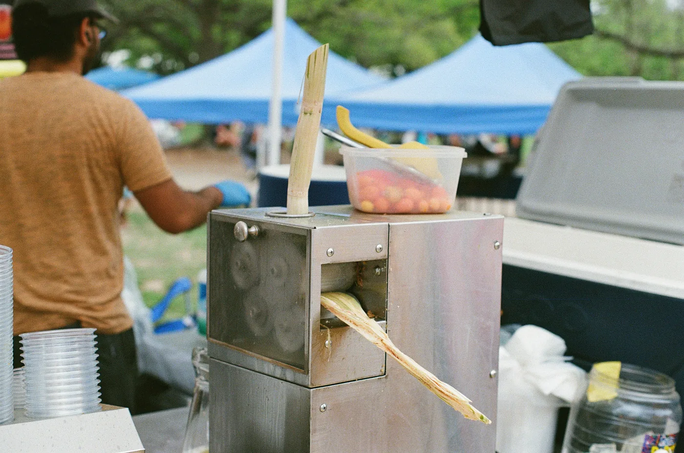 A stainless steel cane press with one stalk standing in the feed slot and another leaving crushed