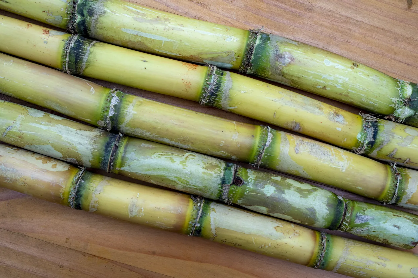 Five yellow-green cane stalks lying side by side on a wooden board
