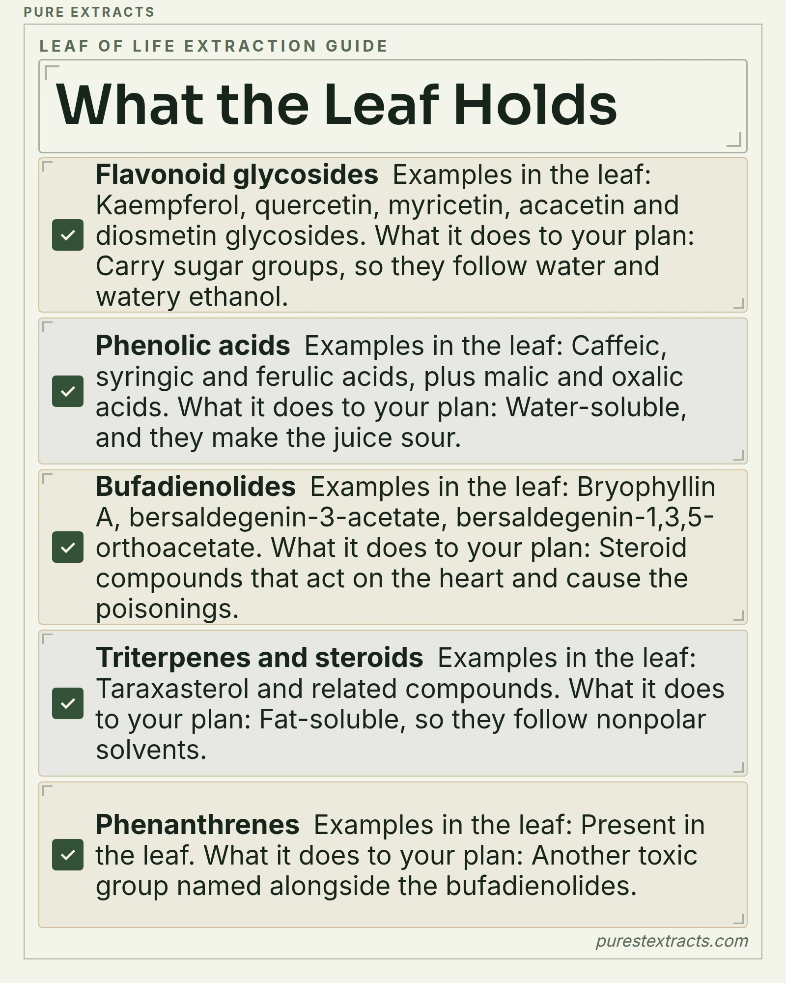 What the Leaf Holds. Flavonoid glycosides: Kaempferol, quercetin, myricetin, acacetin and diosmetin glycosides, Carry sugar groups, so they follow water and watery ethanol; Phenolic acids: Caffeic, syringic and ferulic acids, plus malic and oxalic acids, Water-soluble, and they make the juice sour.