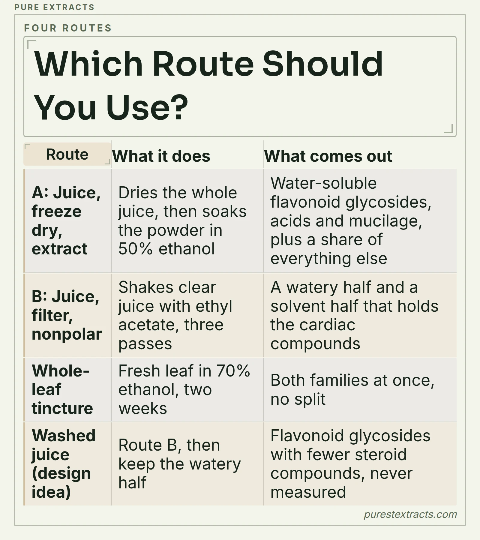A table of four leaf of life extraction routes: freeze dried juice, filtered juice with a nonpolar solvent, whole-leaf tincture and a washed juice design idea